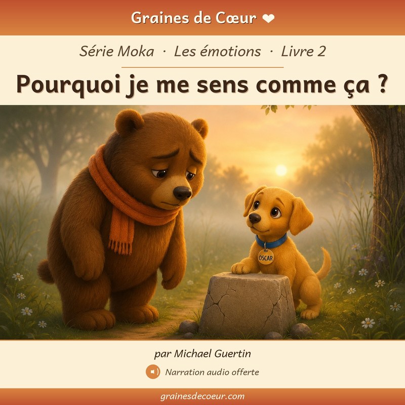 Couverture de Pourquoi je me sens comme ça ?